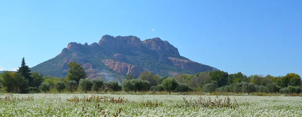 Roquebrune-rots