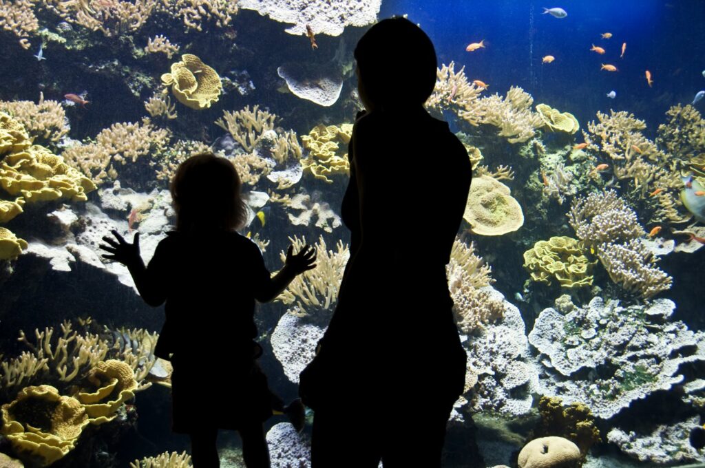 Aquarium du Musée océanographique de Monaco, avec bassins illuminés et poissons tropicaux colorés.