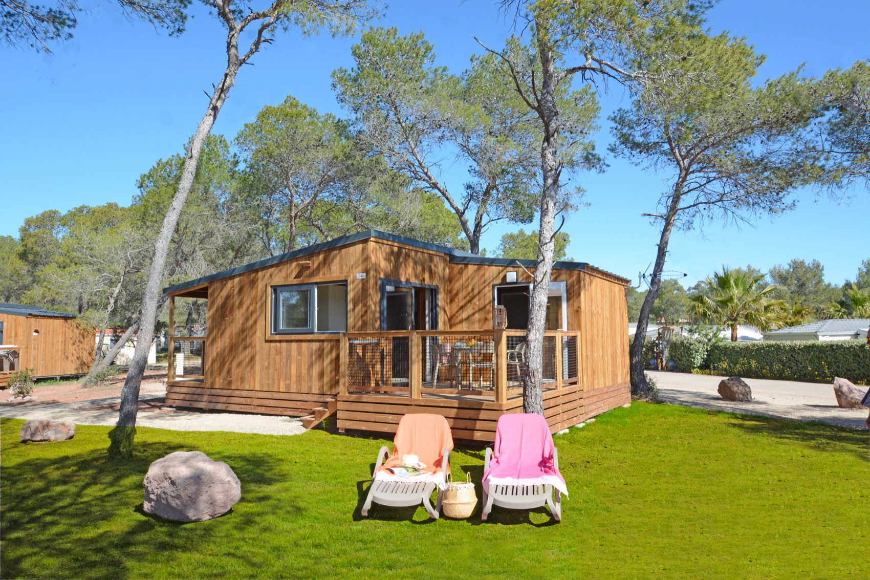 Holzchalet und Liegestühle auf dem Rasen unter den Kiefern