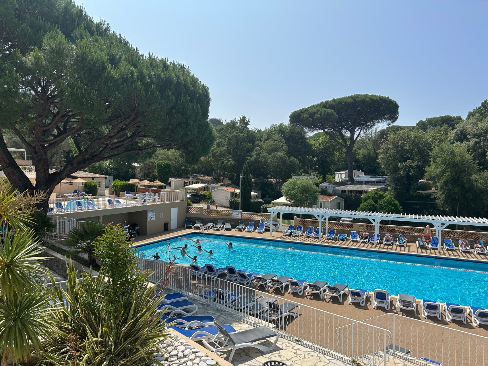 Der Swimmingpool auf dem Campingplatz Golfe de St-Tropez, unter den schirmförmigen Pinien, in Gassin